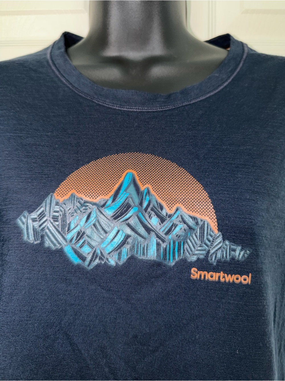 Smartwool Women’s Short Sleeve Graphic Tshirt